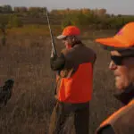 Walz tramps through tall grass on Minnesota's pheasant hunting season opener but bags no birds