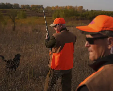 Walz tramps through tall grass but bags no birds as pheasant hunting season opens