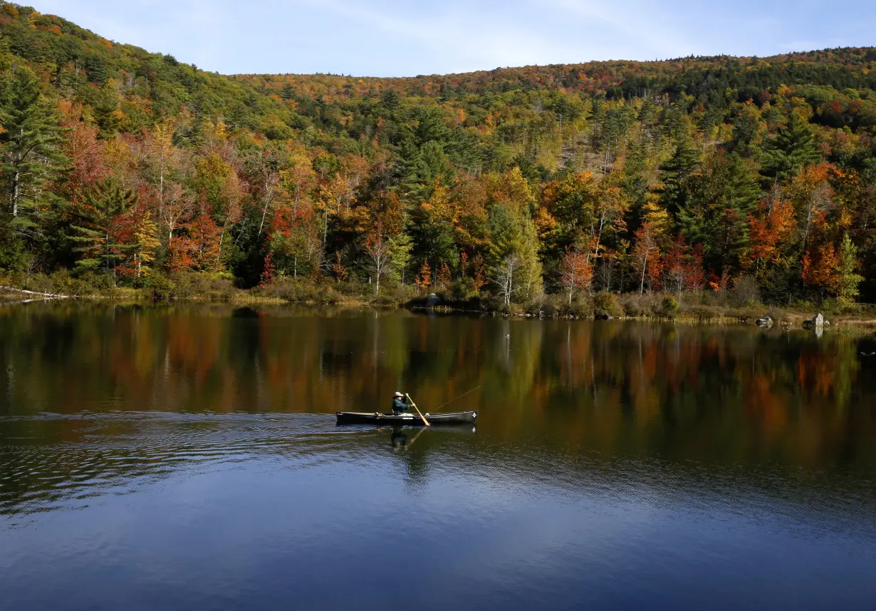 New Hampshire Foliage