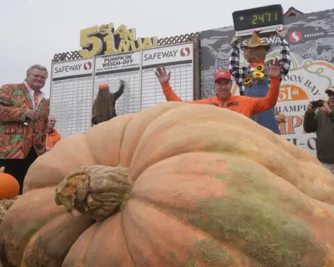 Pumpkin weighing 2,471 pounds wins California contest