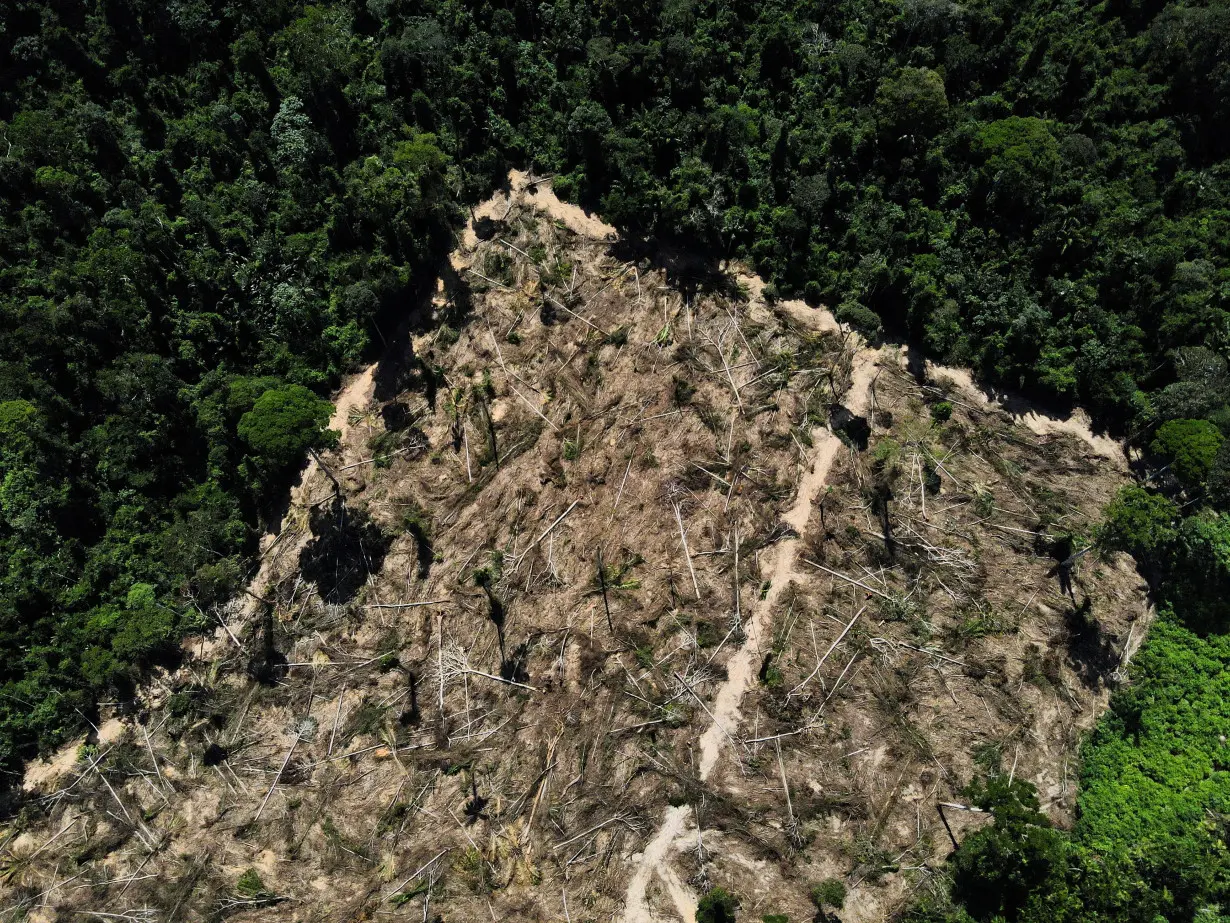 FILE PHOTO: A view of a deforested area in the middle of the Amazon forest in the municipality of Uruara, Para, Brazil