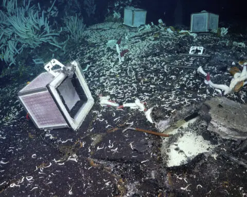 Tubeworms, snails and other weird creatures found under the seafloor