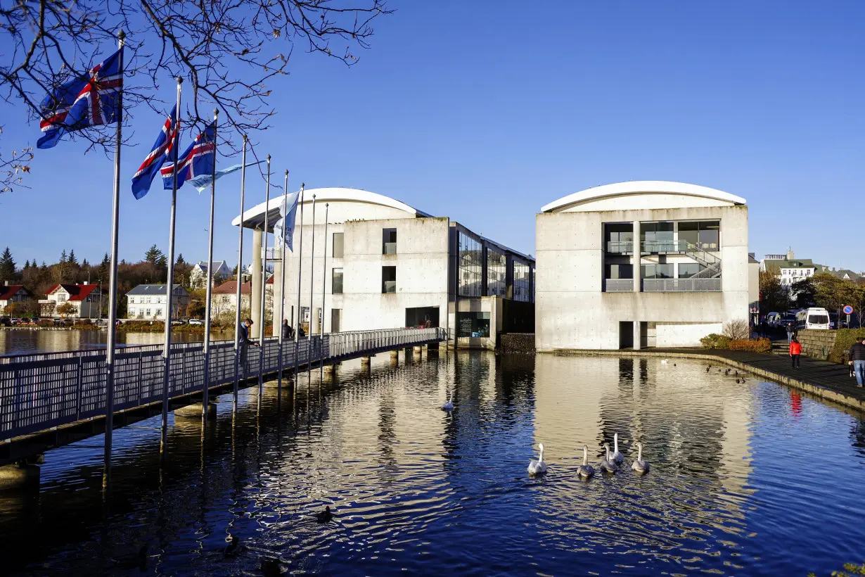 Iceland's flags flutter next to the City Hall during a snap parliamentary election in Reykjavik