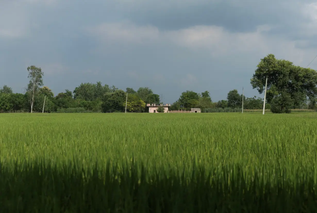 House of Sikh separatist leader Hardeep Singh Nijjar, is pictured at village Bharsingpura