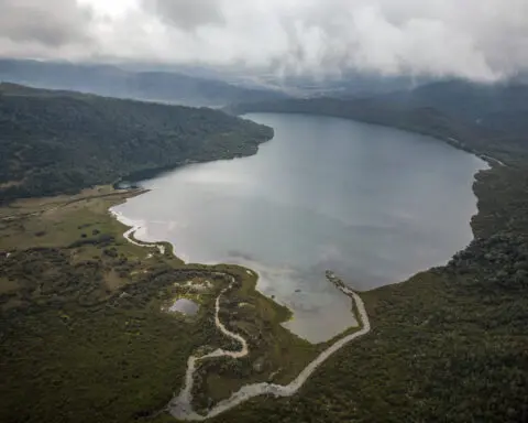 Pressure grows for countries to deliver on promised biodiversity targets at UN conference