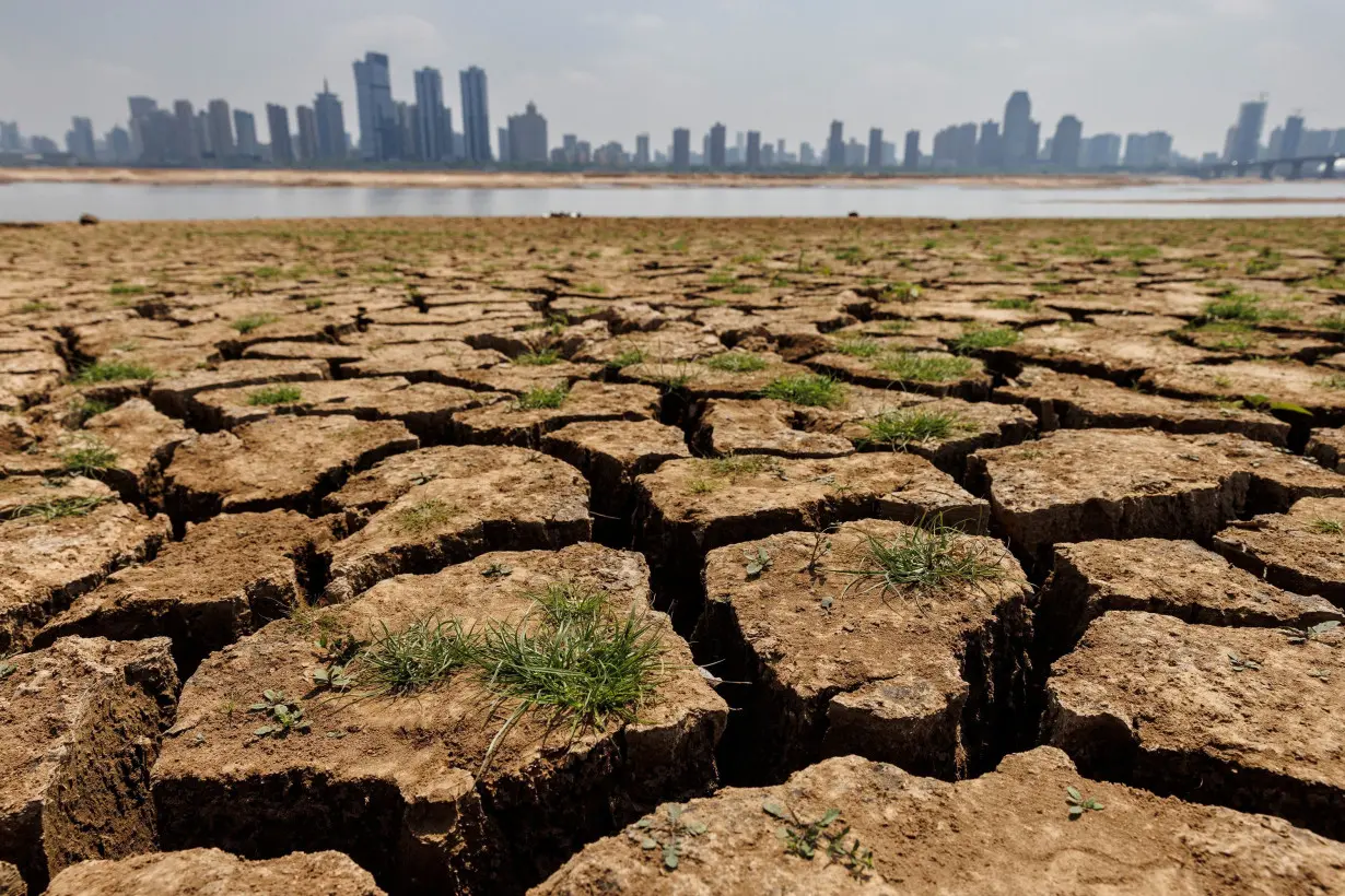 Global water cycle off balance for 'first time in human history,' threatening half the planet's food production