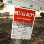 What to know about red tide after Florida's back-to-back hurricanes