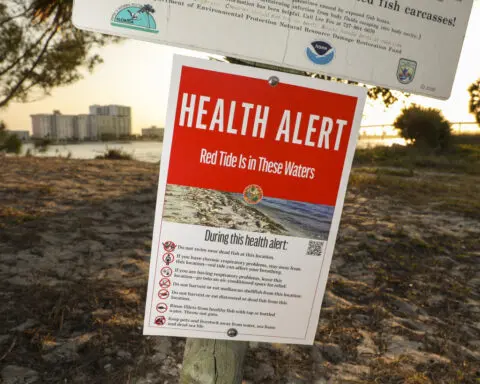 What to know about red tide after Florida's back-to-back hurricanes