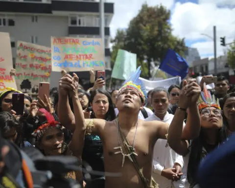 Efforts to combat deforestation in Colombia hindered because of armed groups, report finds