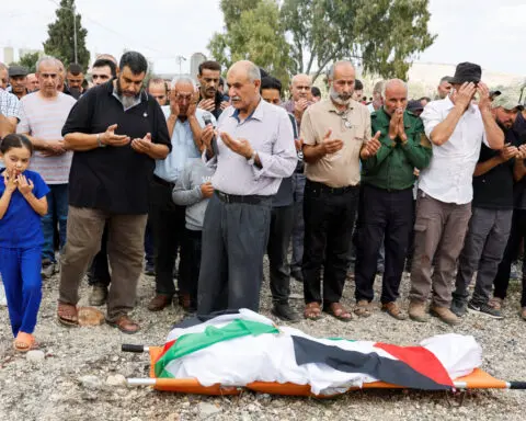 UN says Israeli settlers cut down olive trees in 'war-like' West Bank campaign