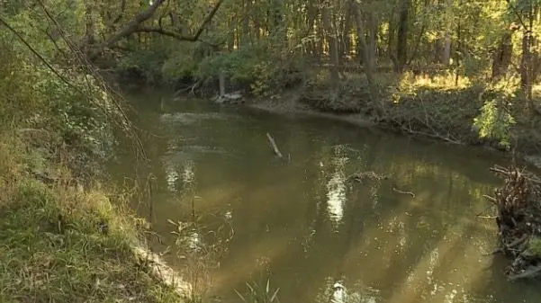 Human remains found in Rouge River in Michigan by kayaker, police investigating