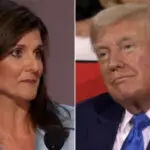 Trump campaign in talks with Nikki Haley to join him on the campaign trail to close the gender gap with Harris