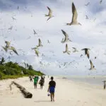 Palau’s vibrant Helen Reef is a magnet for poachers. These rangers keep it safe