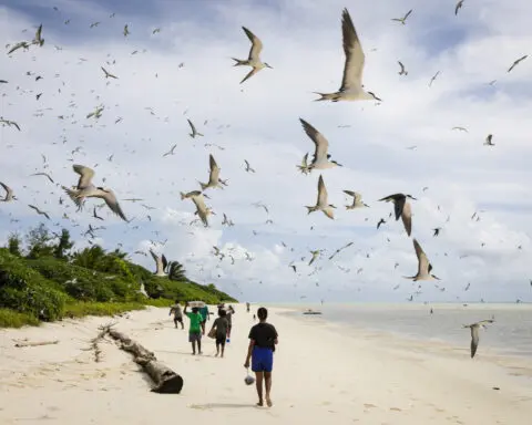 Palau’s vibrant Helen Reef is a magnet for poachers. These rangers keep it safe