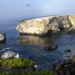 Chumash people in California to co-steward marine sanctuary in historic partnership