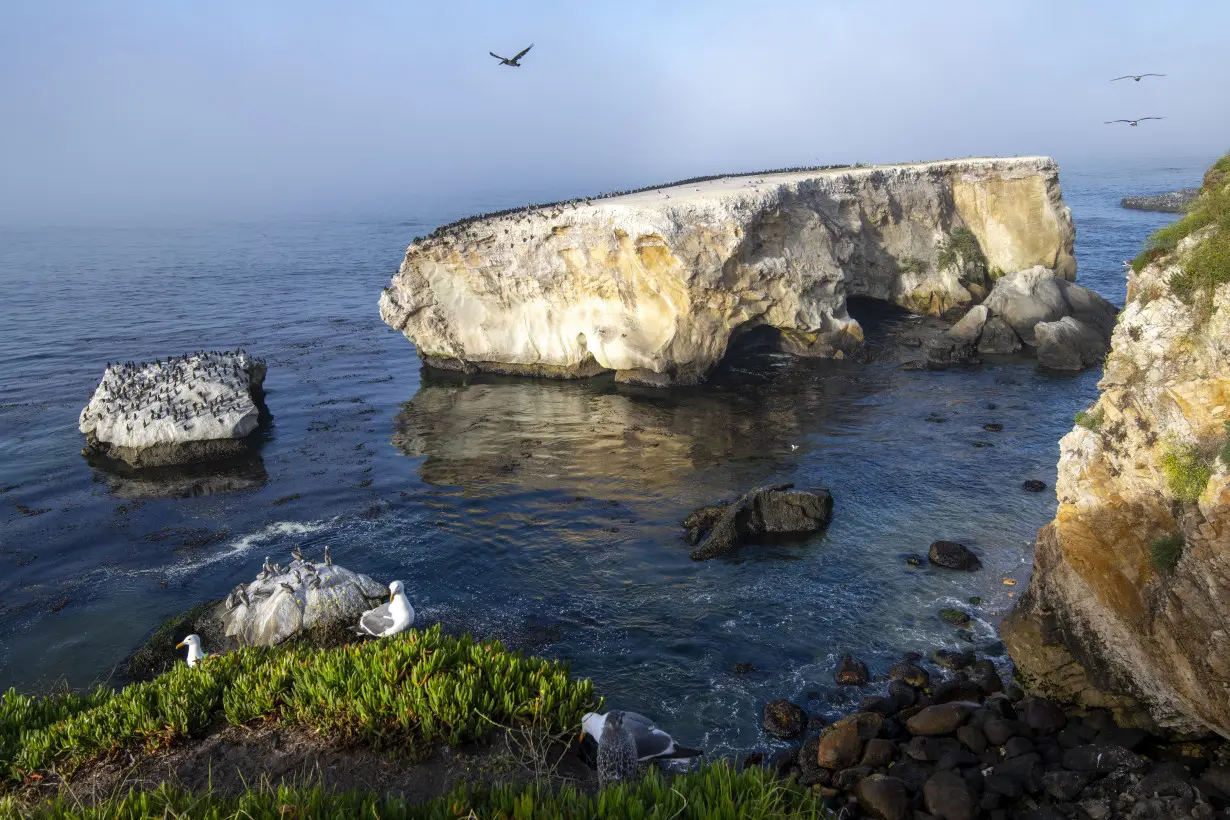 California Marine Sanctuary Tribe