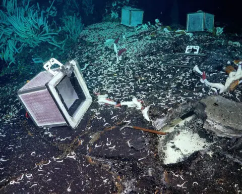 Peer inside the underwater volcanic caves where life thrives