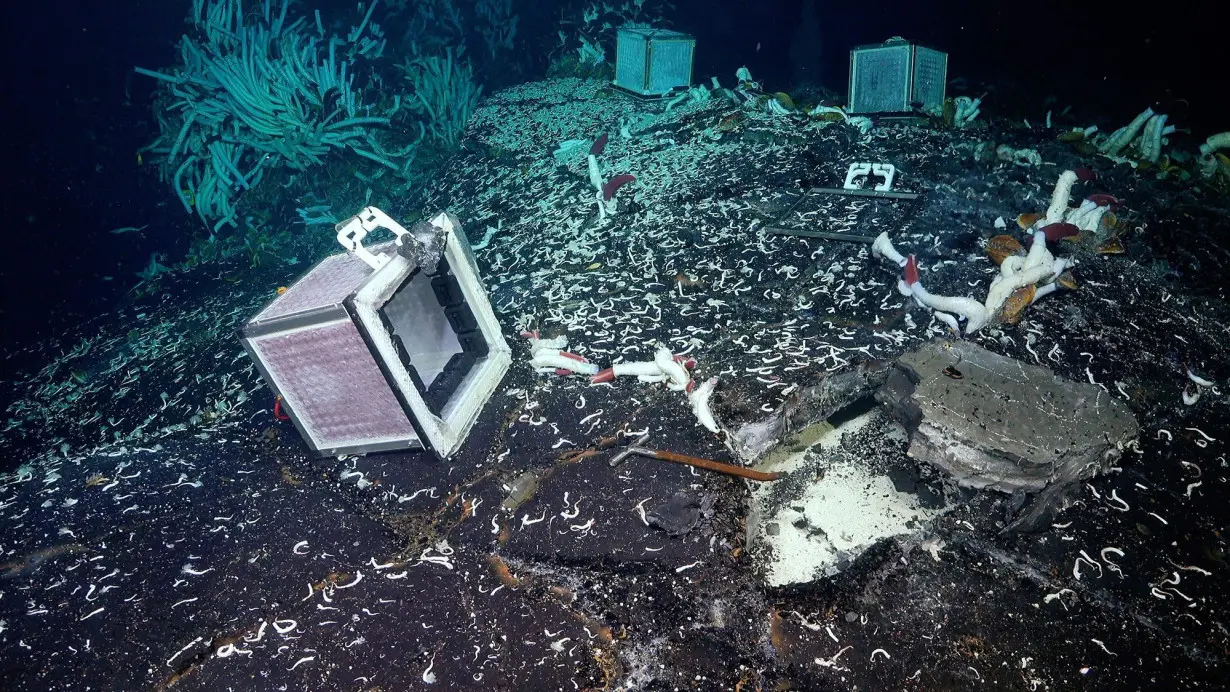 Deep-sea volcanic ridges, formed by the collisions of tectonic plates, create underwater hot springs in an otherwise frigid environment. These hydrothermal vents belch warm towers of elements that draw clusters of animal life, such as tube worms.