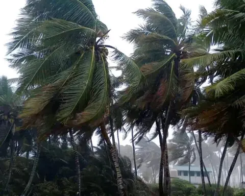 Tropical Storm Nadine makes landfall in Belize, NHC says