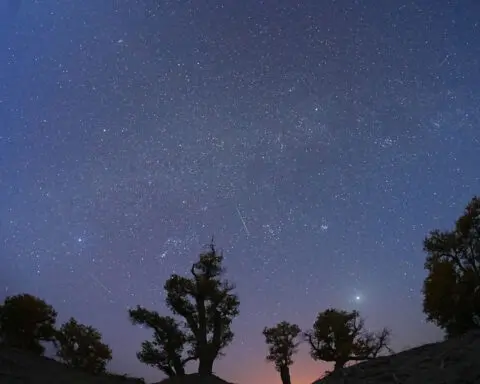 How to watch the Orionid meteor shower, debris from Halley’s comet