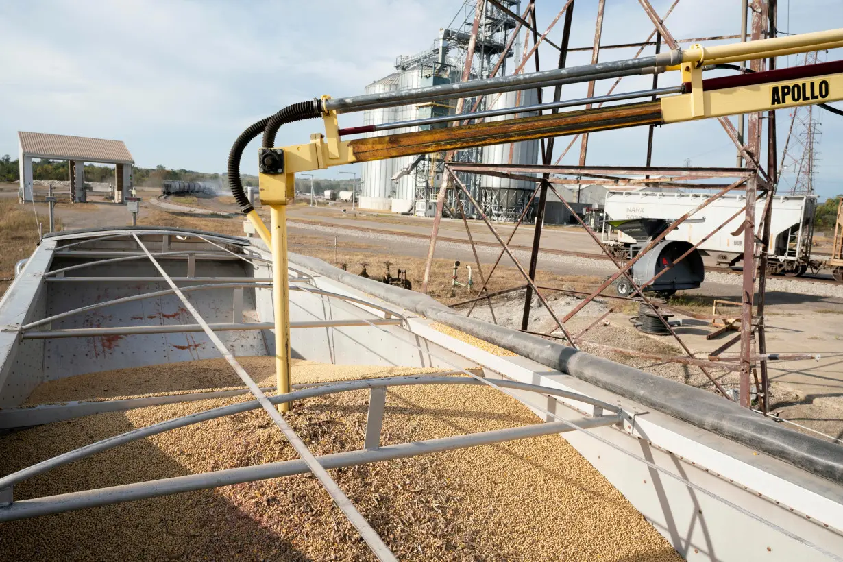 FILE PHOTO: Soybean and Corn harvest season in central Ohio.