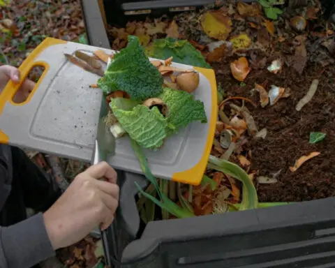 Just 5% of America's food waste is composted. Which states are getting it done?