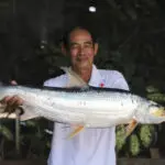 Giant fish thought to be extinct is spotted in the Mekong River