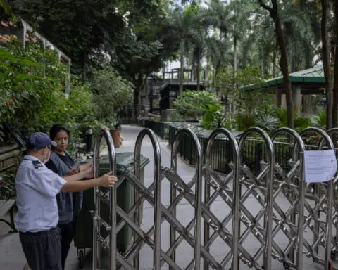 Twelfth monkey death at Hong Kong zoo, soil infection blamed