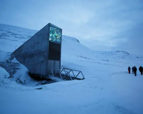 Doomsday Arctic seed vault gets deposit of 30,000 new samples