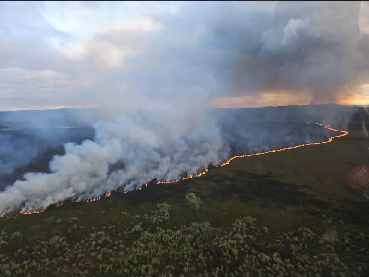 The fire began burning in the Waikato wetland on Monday, October 21.