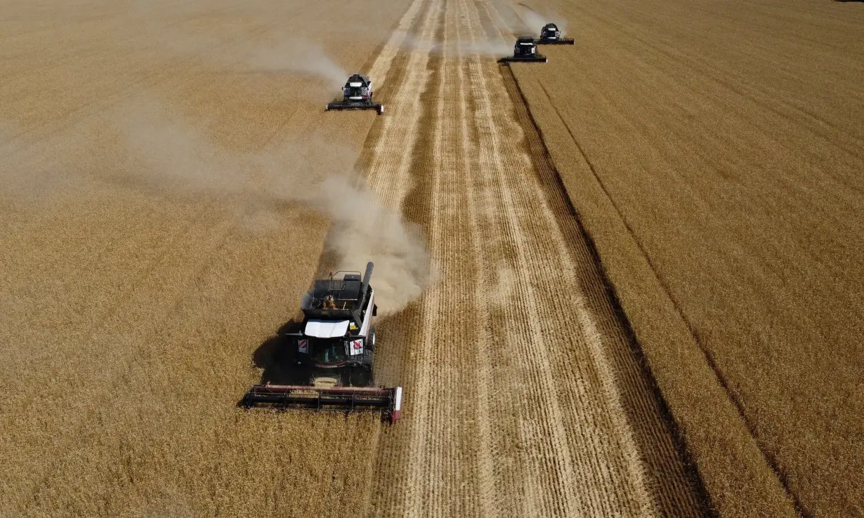 FILE PHOTO: Wheat harvest in Russia's Rostov Region