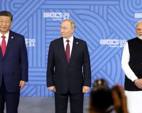 BRICS is for the fairies until China and India get serious, 'Mr BRICS' says