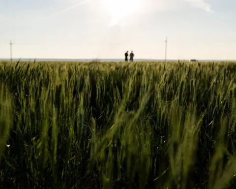 World Bank says will double agricultural commitments to $9 billion a year by 2030