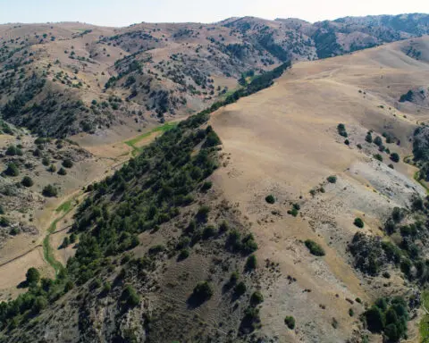 Scientists document lost mountain cities on Silk Road in Uzbekistan