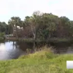 Alligator attacks yellow lab in Port Charlotte canal, rescue efforts underway