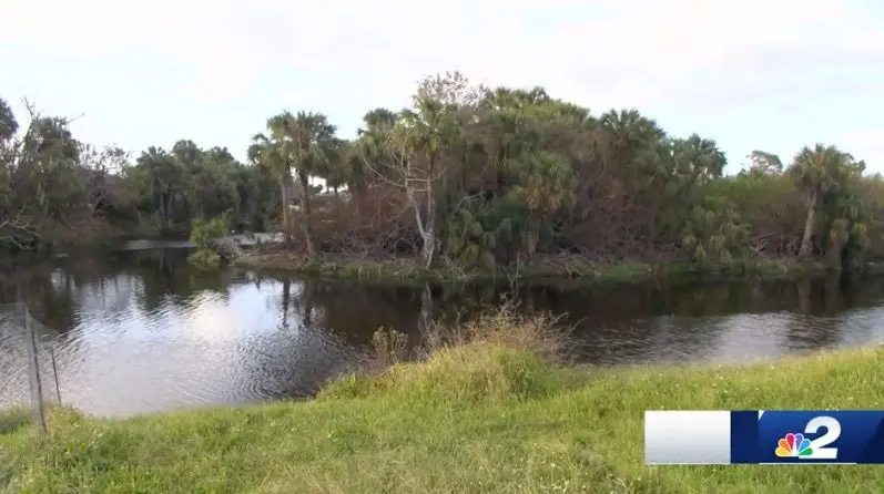 Alligator attacks yellow lab in Port Charlotte canal, rescue efforts underway