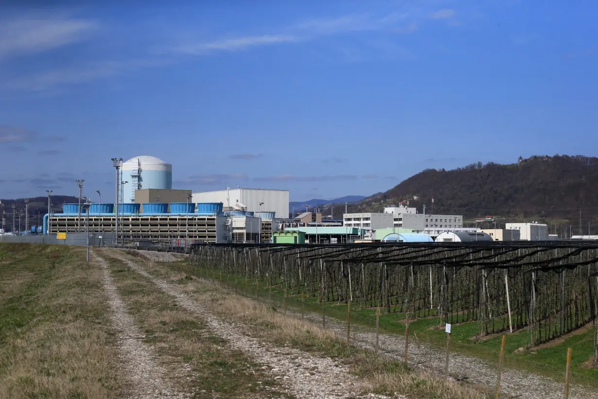 FILE PHOTO: Nuclear power plant is seen in Krsko