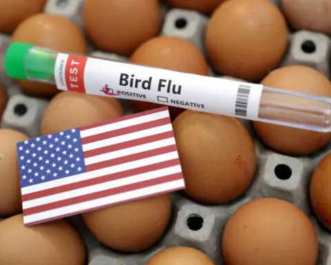 Human bird flu cases in California may be undercounted as workers resist testing