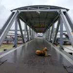 Tropical Storm Dana makes landfall along India's eastern coast, bringing heavy rains and strong wind