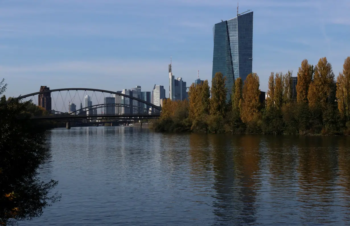 FILE PHOTO: A general view shows the European Central Bank (ECB) building, in Frankfurt