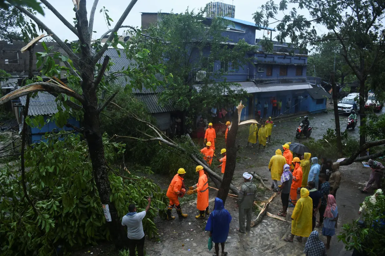 National Disaster Response Force (NDRF) personnel clear a tree that fell after cyclone Dana made landfall, in Anantpur village, Balasore district, in the state of Odisha