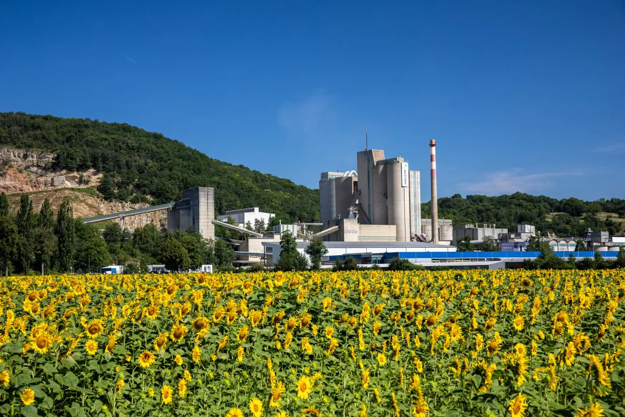 Sunflowers are seen in front of the plant of cement maker Holcim in Eclepens