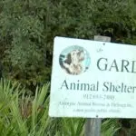 Dozens of animals in need of homes after a shelter director was arrested for animal cruelty in Pembroke