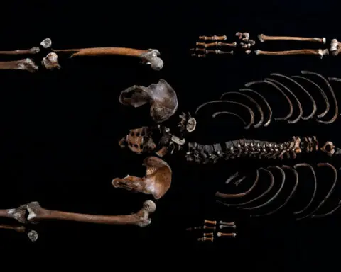 Scientists say skeletal remains found in castle well belong to figure from 800-year-old saga