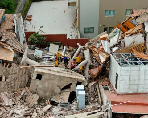 Hotel collapses in Argentina, firefighters search for trapped people