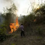 UN chief calls for more pledges, private sector input to save global biodiversity at Colombia summit