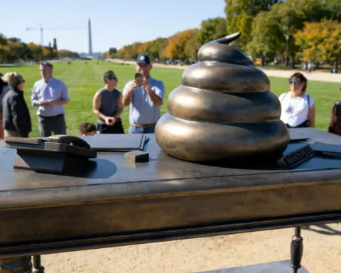 Political art mysteriously pops up in DC ahead of Election Day