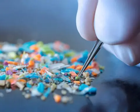 Scientists sound alarm on unstoppable microplastic pollution