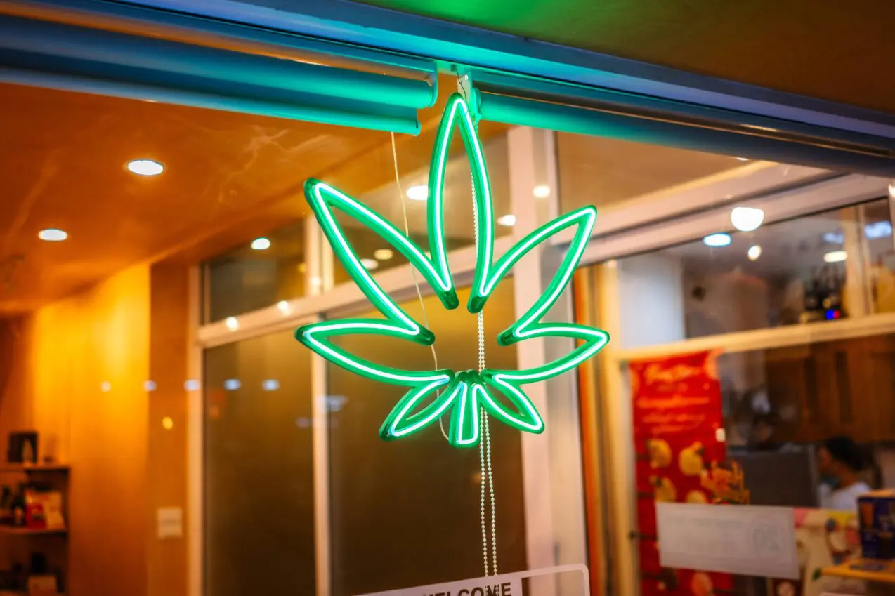 cannabis cafes