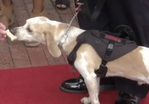 Indian River State College holds badge ceremony for new K-9 officer